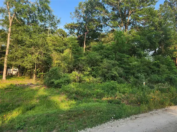 Lot 14 Pineknoll Drive, Plantersville, TX 77363