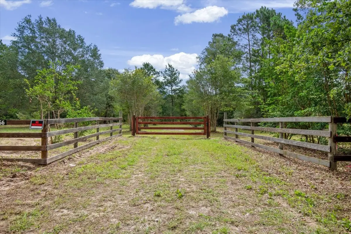 TBD Lot 1 County Road 302, Plantersville, TX 77363 - #1