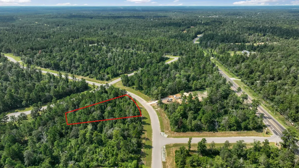 226 Iron Horse Road, New Waverly, TX 77358 - Image #1