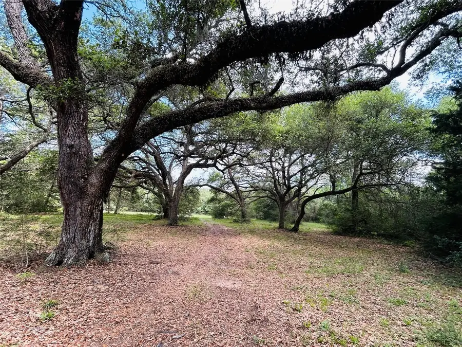 50 Acres Dunlavy, Cat Spring, TX 78933 - #3
