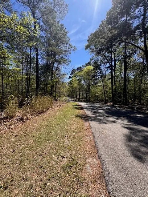 90 S Pine Harbour Drive, Coldspring, TX 77331 - #3