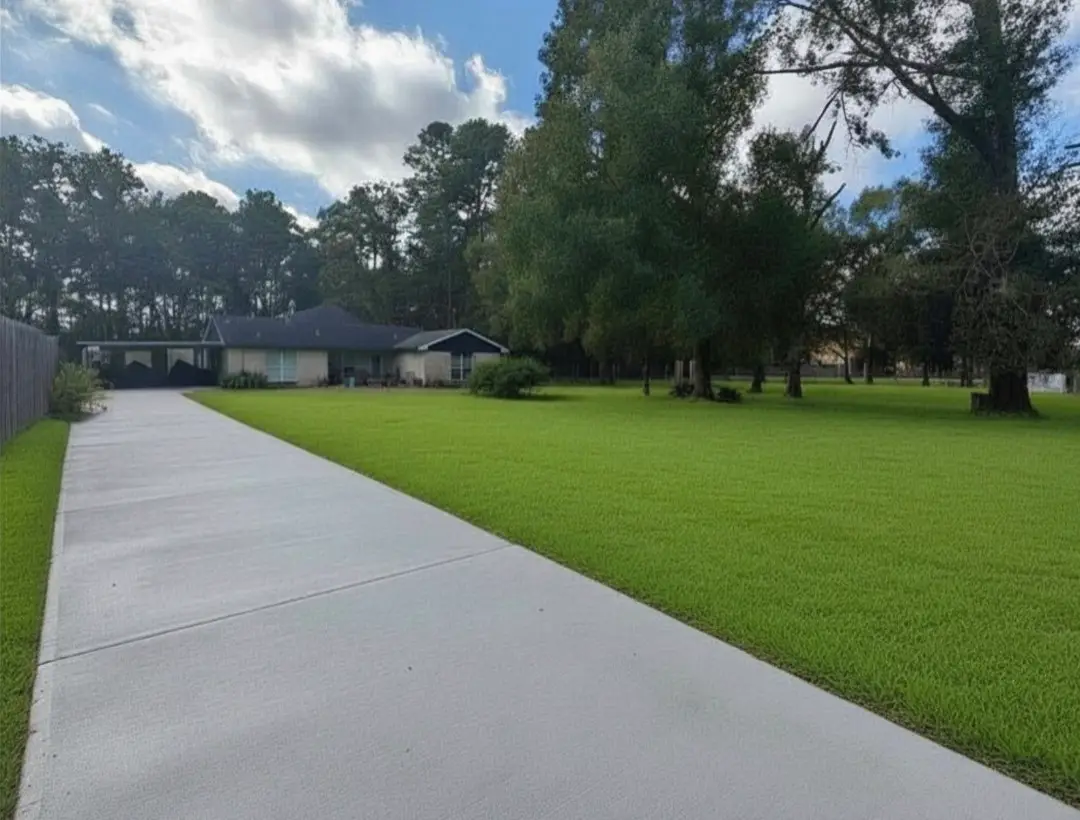3680 White Oak Drive, Conroe, TX 77301 - #1