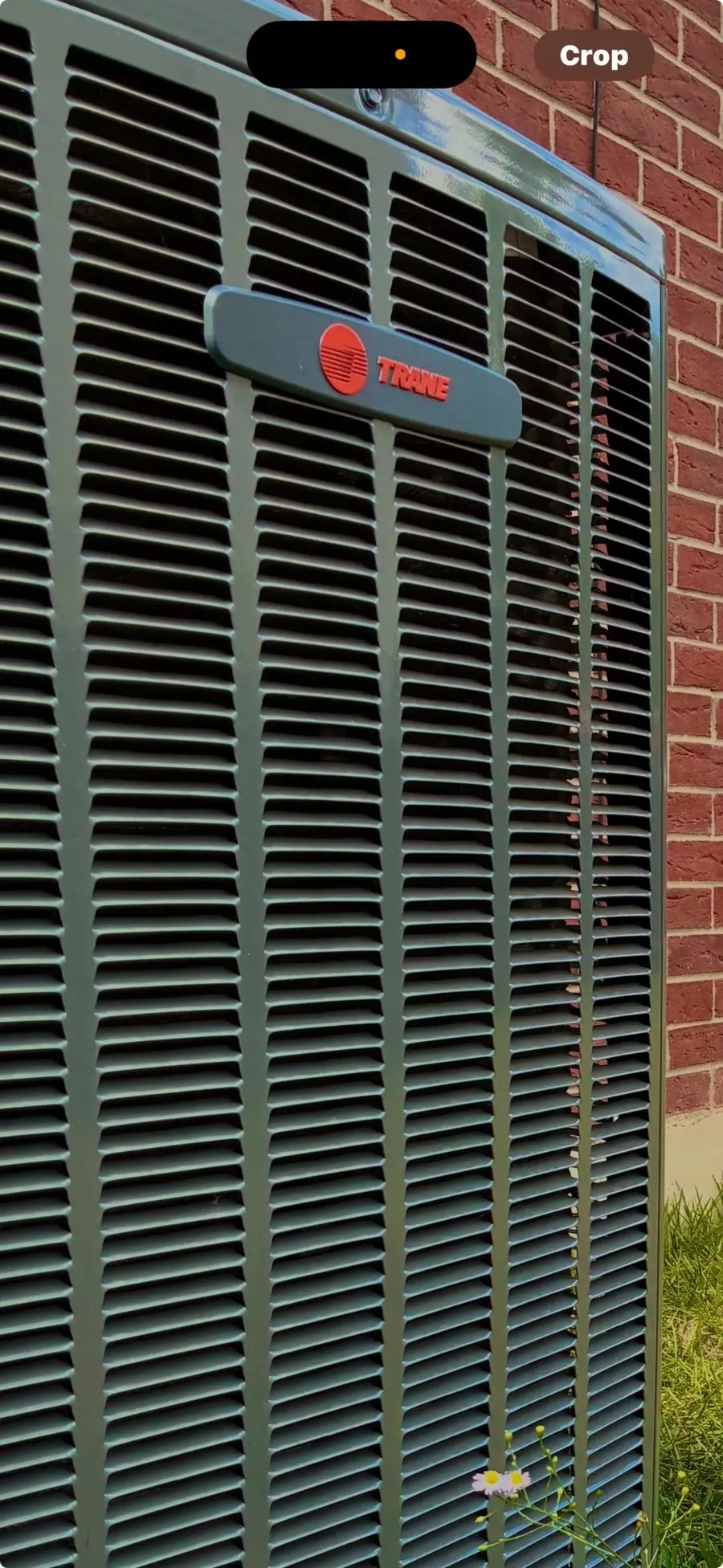 1007 Audra Street, Cedar Park, TX 78613 - #2