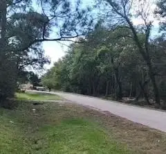 TBD Twin Lakes Drive, Guy, TX 77444 - #2