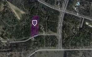 28200 Horse Shoe Lane, Waller, TX 77484 - #1