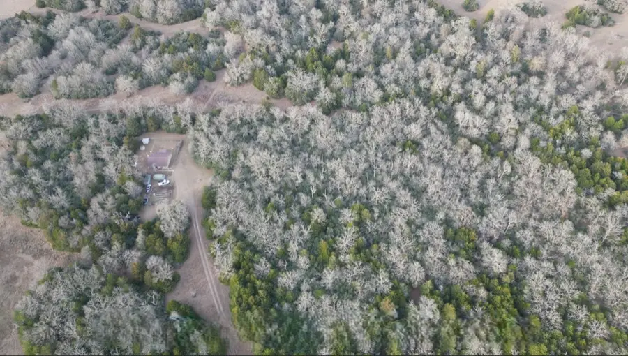 TBD County Road 427, Normangee, TX 77584 - #3