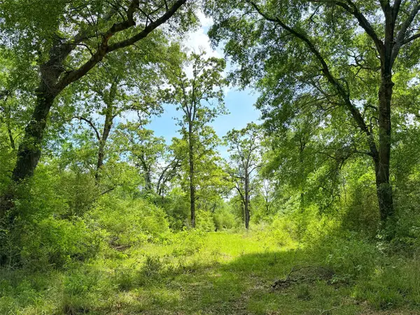 100 ac Cr 408, Normangee, TX 77871