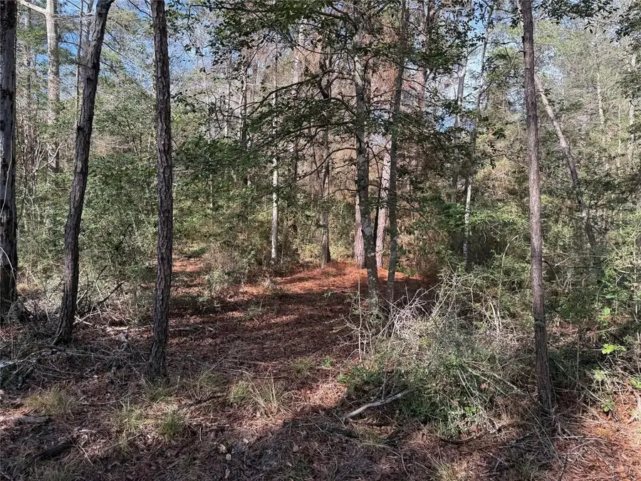Lot 2 John Keely Road, Zavalla, TX 75980 - #3