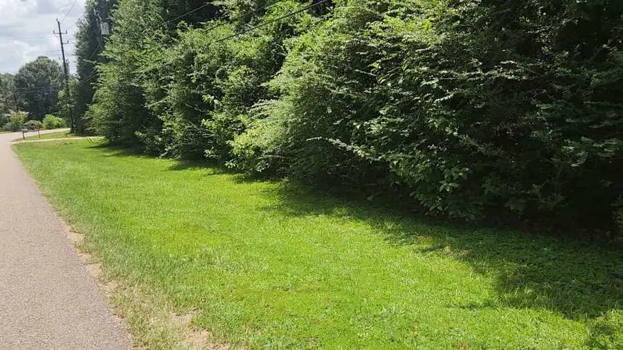 TBD Terri Lane, Magnolia, TX 77355 - #2
