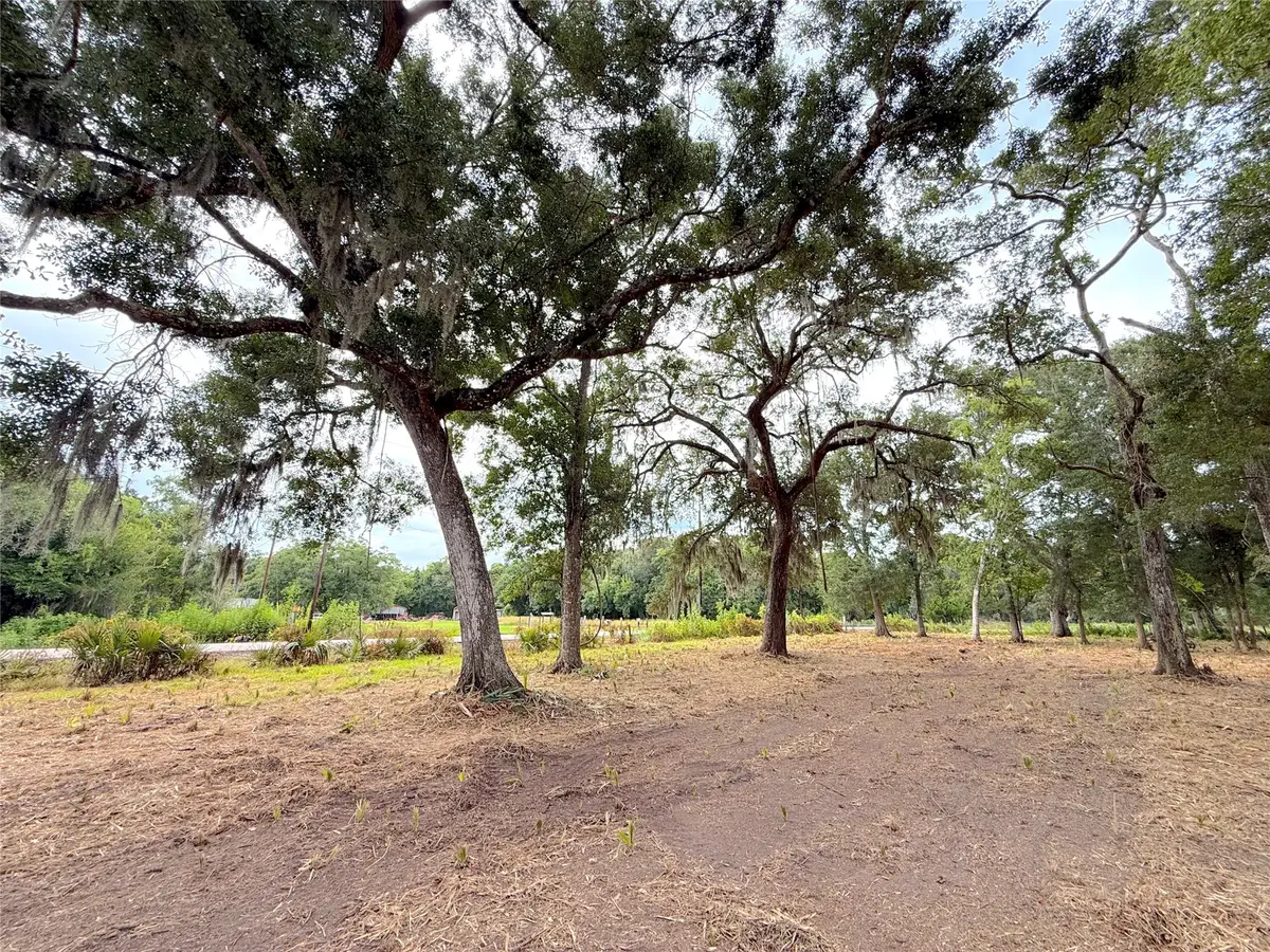 Lot 12A1 Cr 345, Brazoria, TX 77422 - #1
