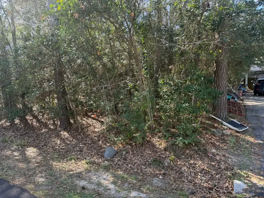 137 Paradise Valley Drive, Conroe, TX 77304 - #3