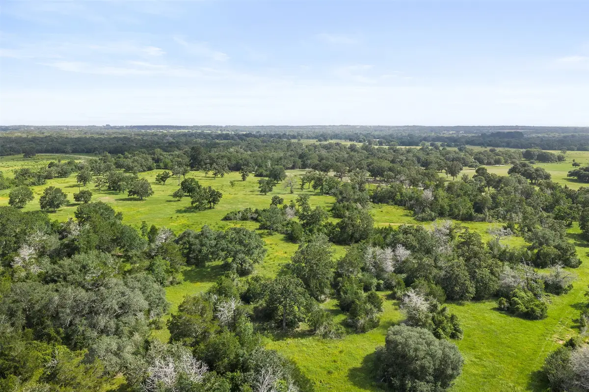 16204 Newberg Rd, Cat Spring, TX 78933 - #1