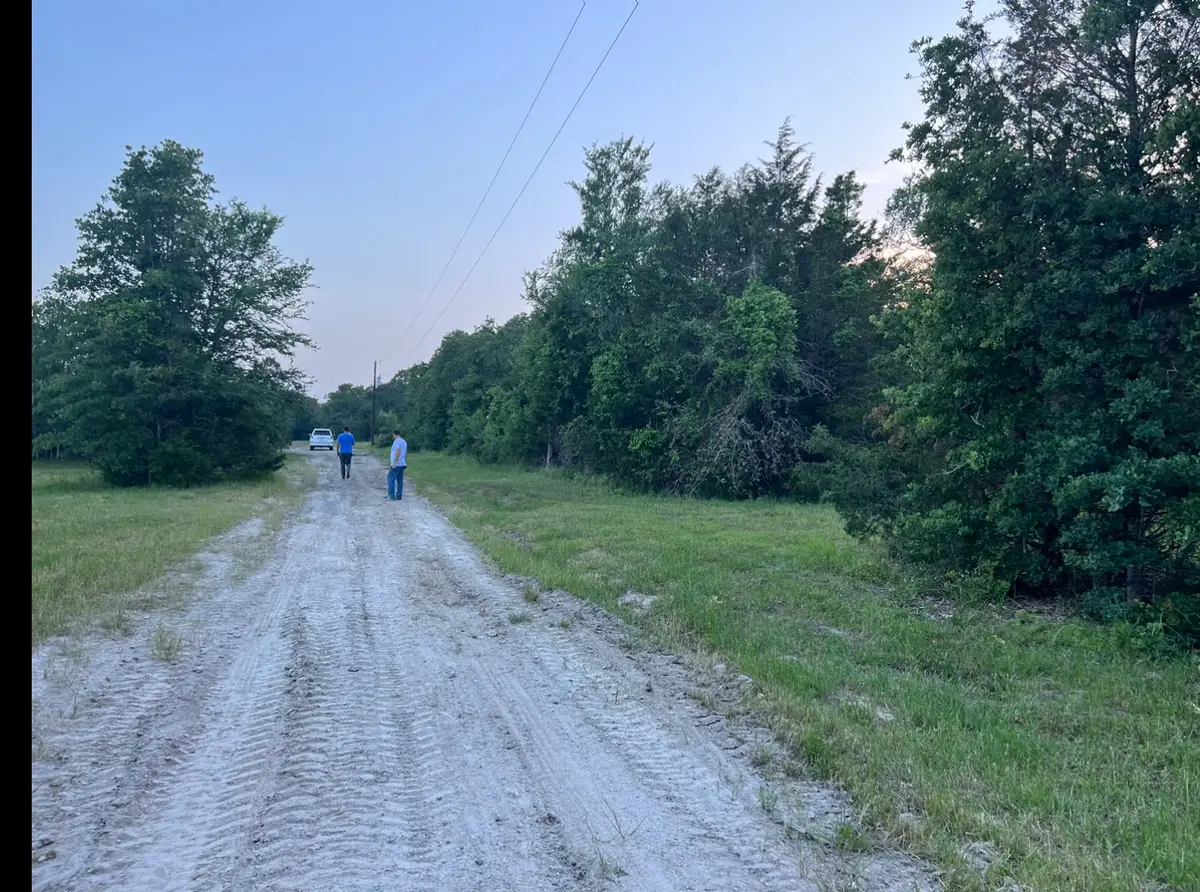21564 Harrison Drive, Bedias, TX 77831 - #1