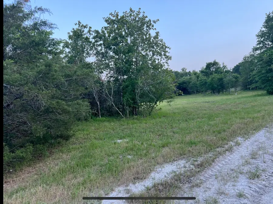 21564 Harrison Drive, Bedias, TX 77831 - #3