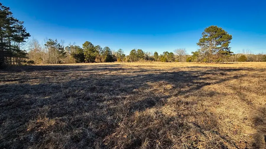 TBD #8 County Road 477, Henderson, TX 75654 - #2