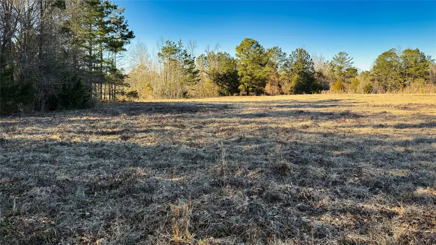 TBD #8 County Road 477, Henderson, TX 75654 - #3