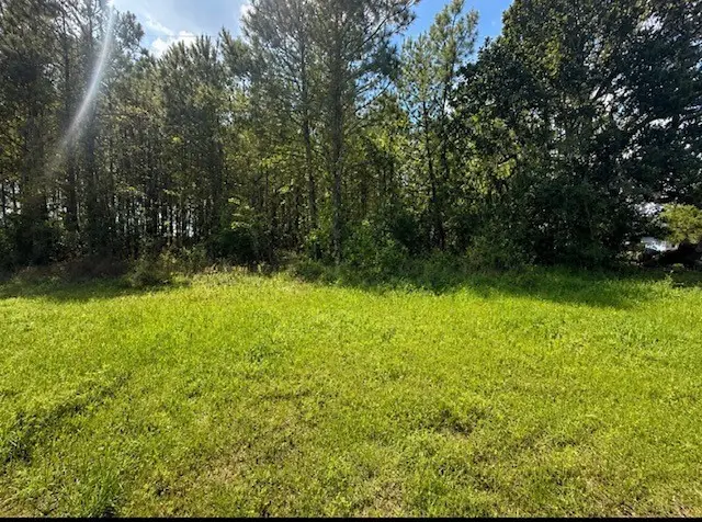 5254 Fm2798, Livingston, TX 77351 - #1