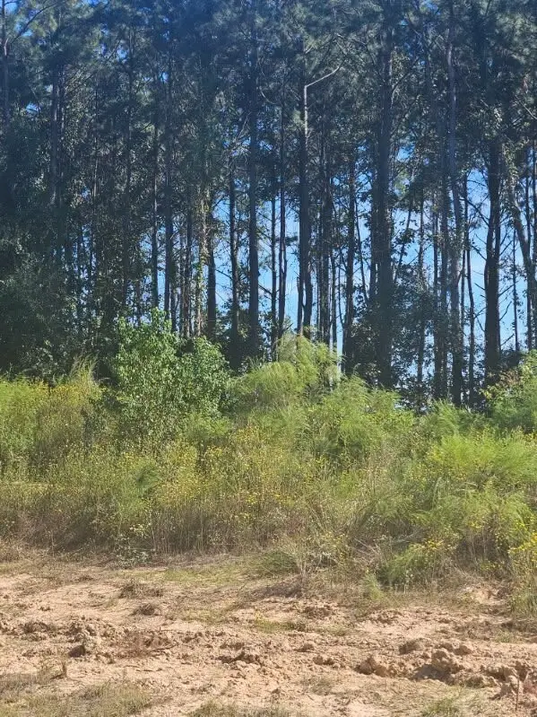2049 Road 5913, Cleveland, TX 77327 - #2