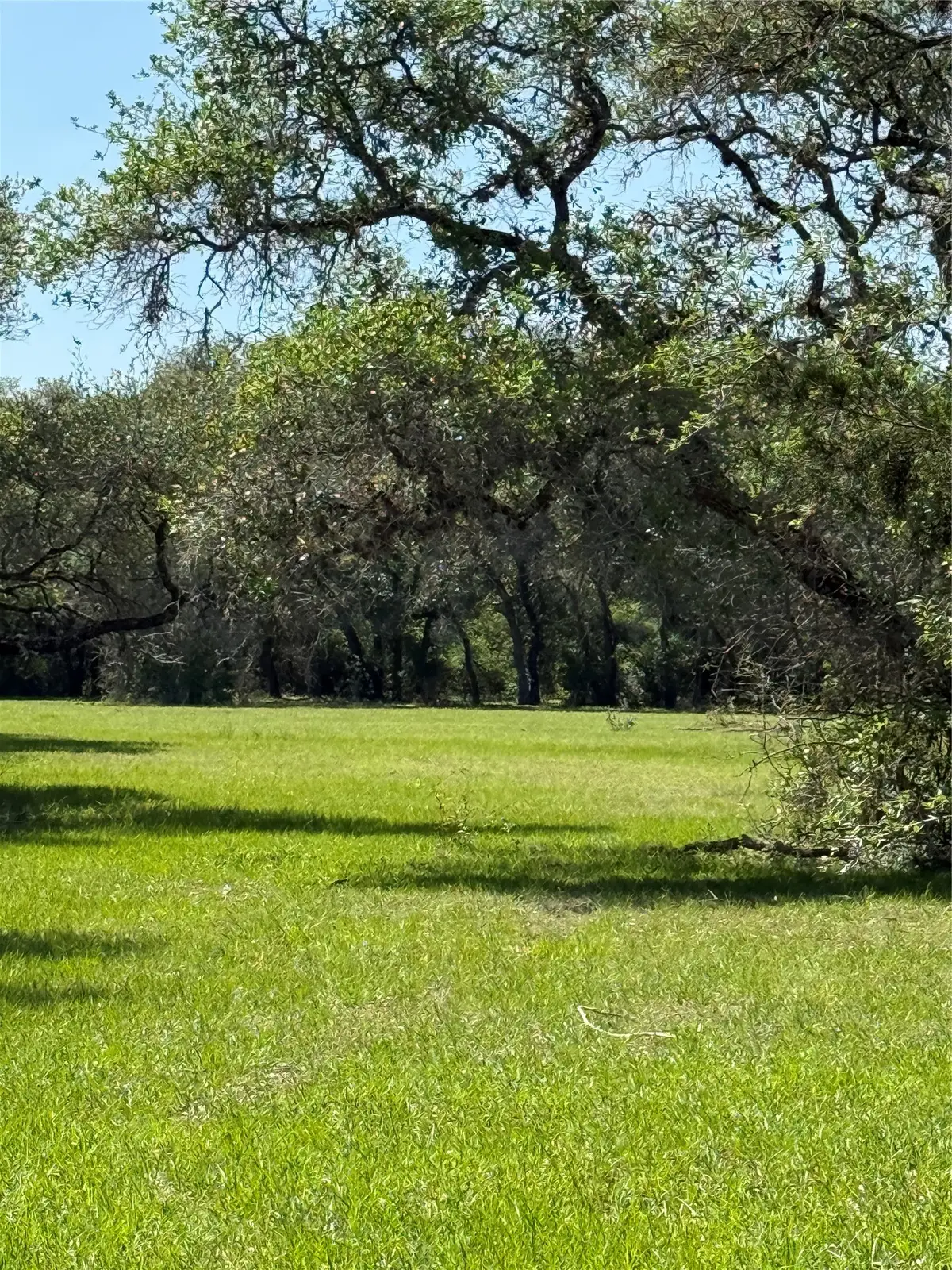 1222 Cr 2152, Rock Island, TX 77470 - #1