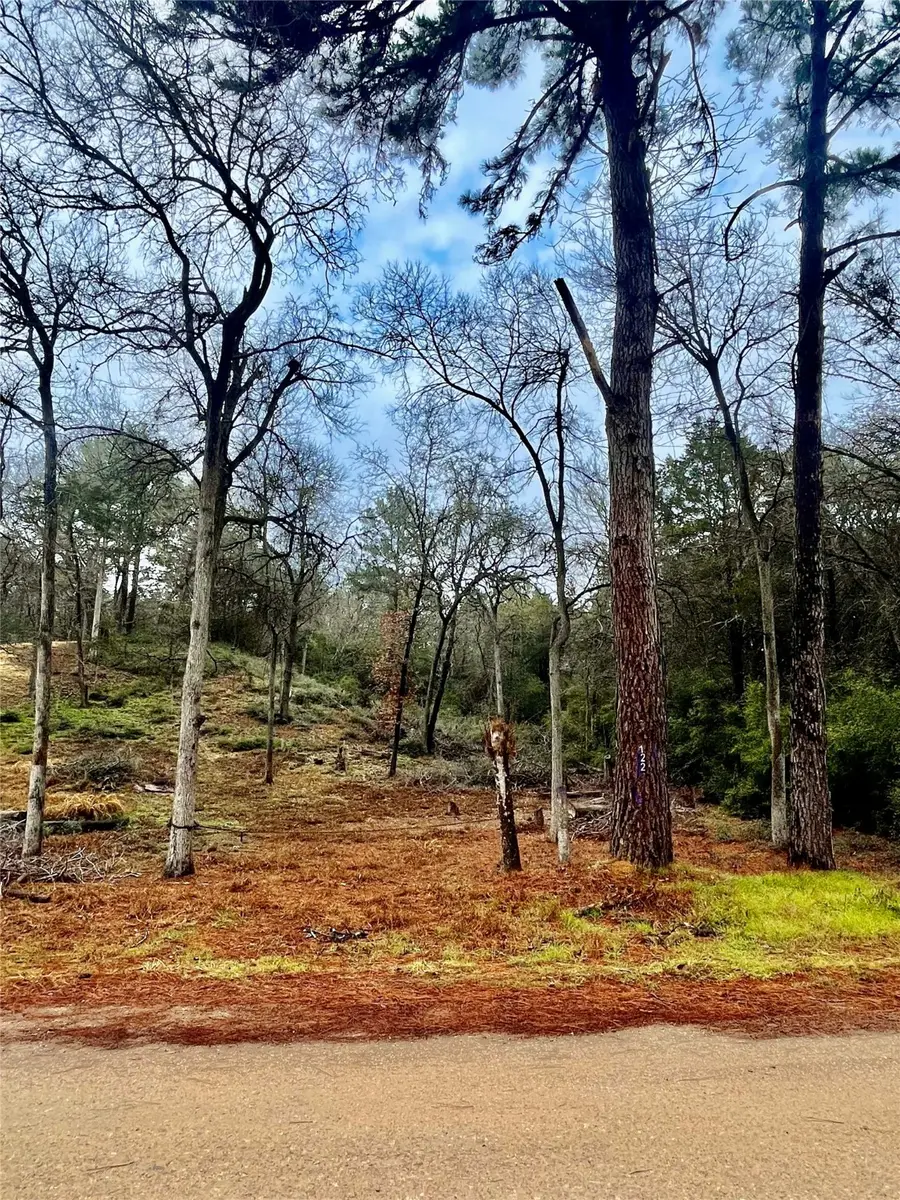 122 Helemano Drive, Bastrop, TX 78957 - #3