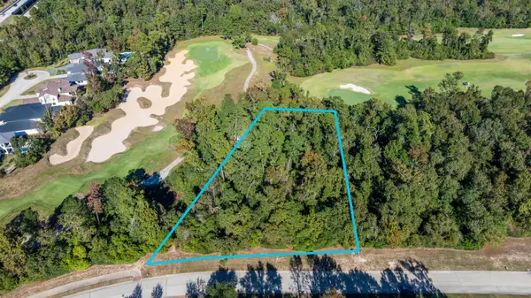 75 Mediterra Way, The Woodlands, TX 77389