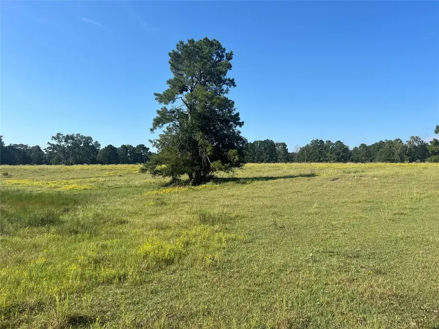 000 Hardy Bottom Road, Huntsville, TX 77340 - #3