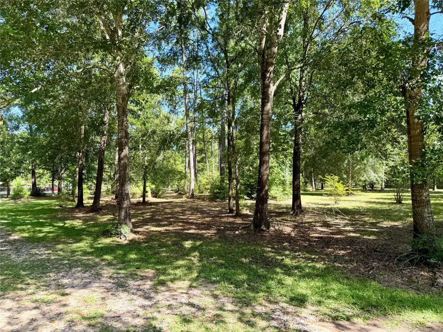 30661 Walnut Ridge Drive, Waller, TX 77484 - #3