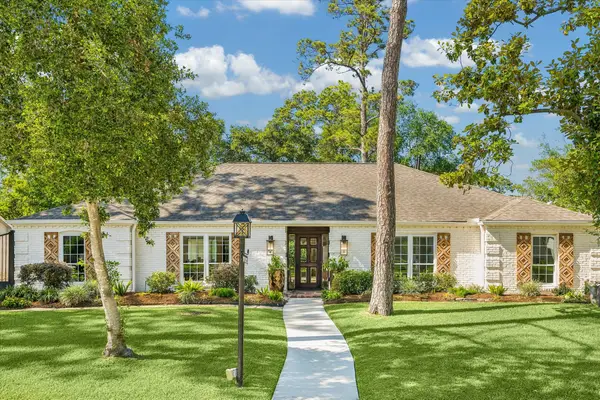 10102 Candlewood Drive, Houston, TX 77042