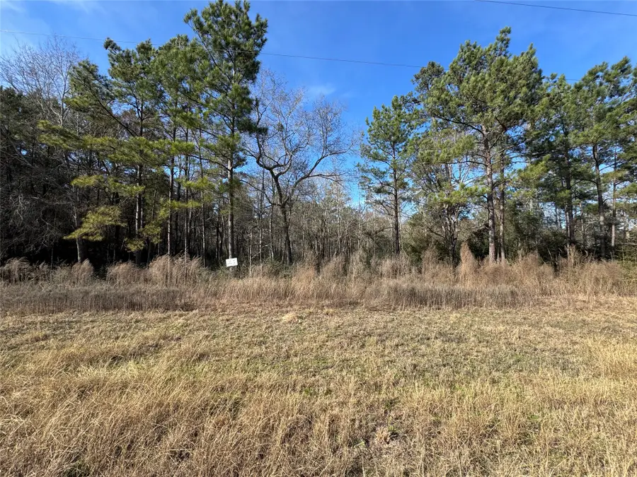 87-22-10 Granite Road, Huntsville, TX 77340 - #2