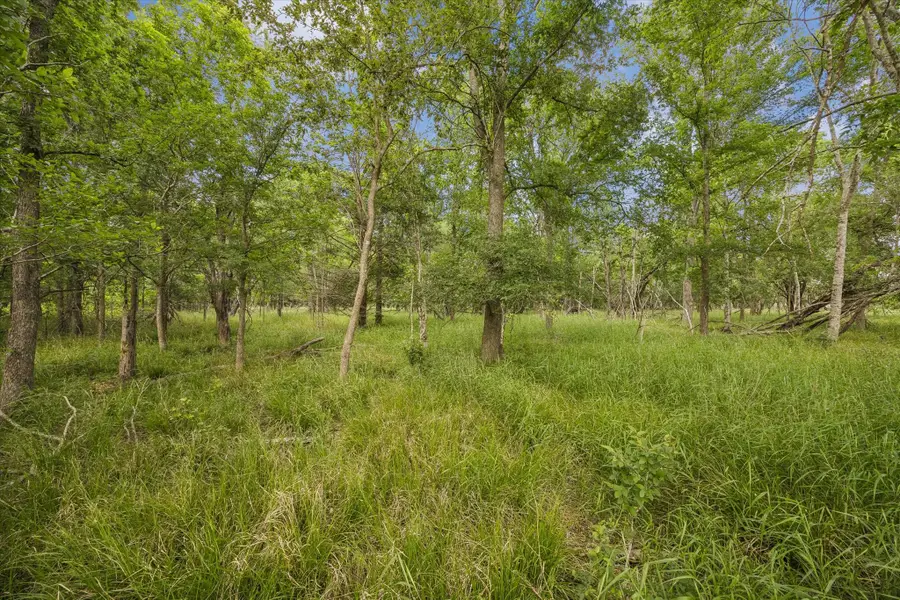 5000 B Brewer Road, Sealy, TX 77474 - #3