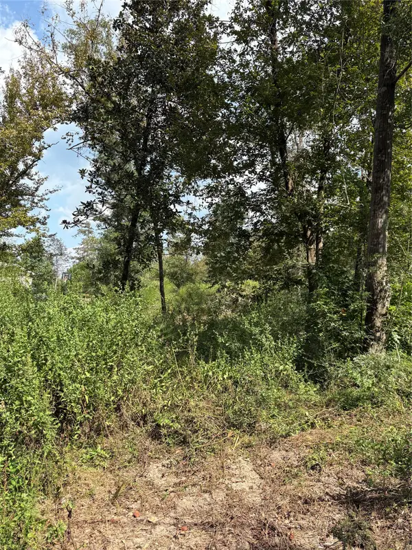 TBD Walnut Ridge Road, Livingston, TX 77351