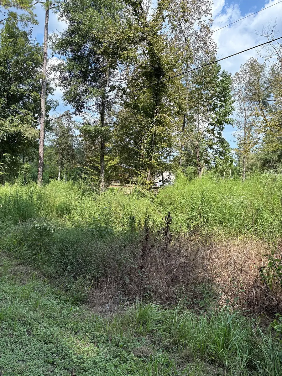 TBD Walnut Ridge Road, Livingston, TX 77351 - #3