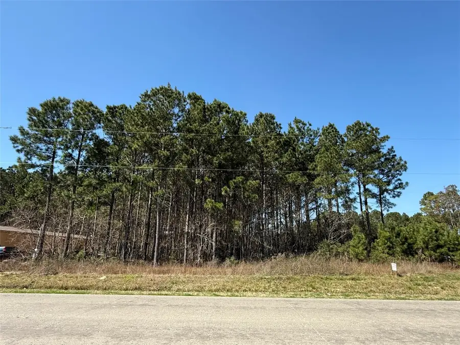 185 County Road 3570, Cleveland, TX 77327 - #2