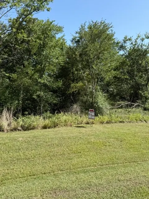 na Cr 377, Marquez, TX 77865 - #3