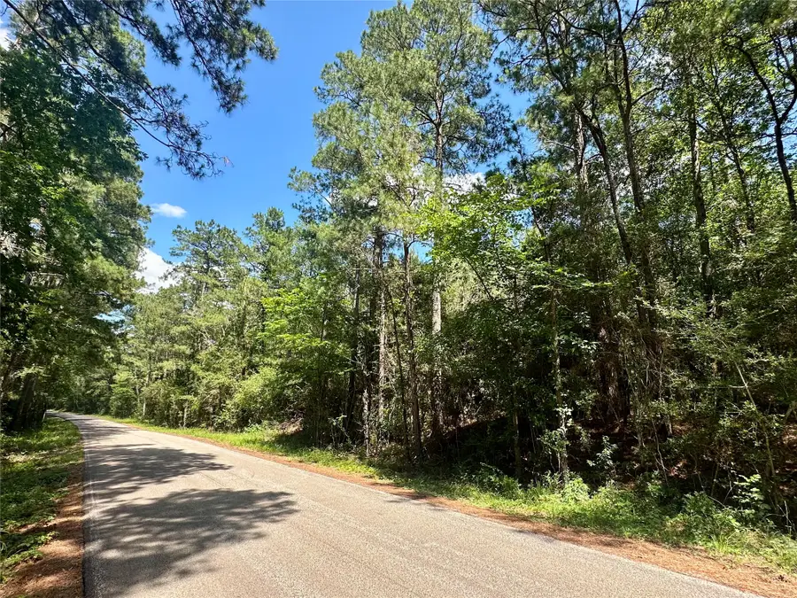 0 Taliaferro Road, Richards, TX 77873 - #3