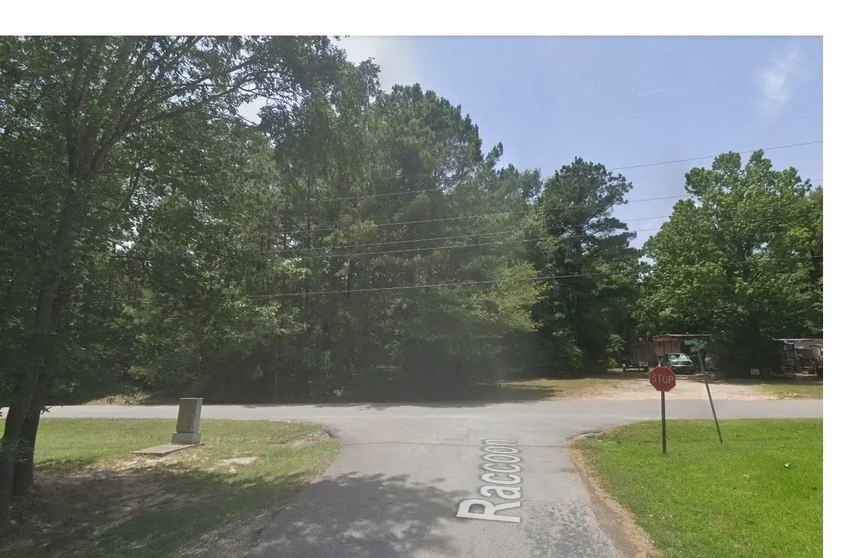 800 Impala Drive, Onalaska, TX 77360 - #1