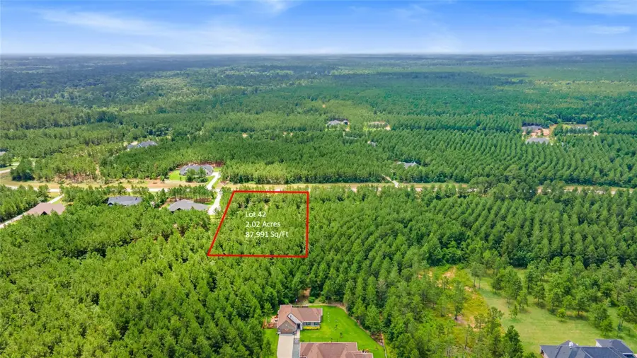 15492 Wood Grove Way, Willis, TX 77378 - #3