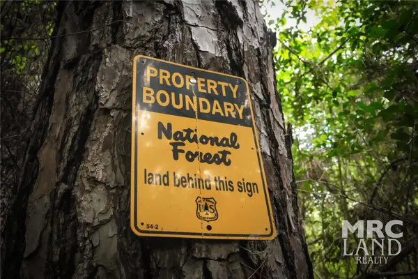 00 County Road 4690, Kennard, TX 75847