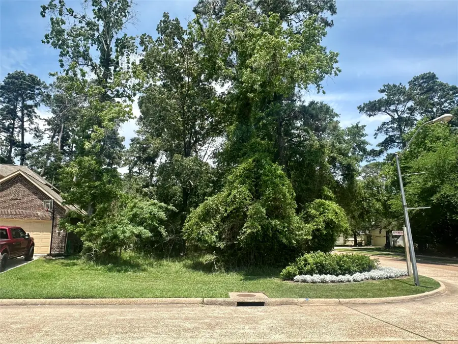 11302 Twain Drive, Montgomery, TX 77356 - #2