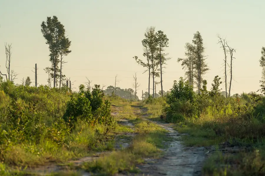 TBD County Road 33, Jasper, TX 75938 - #3