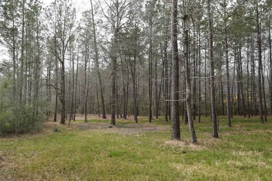 309 Exploration Road, Willis, TX 77378 - #2