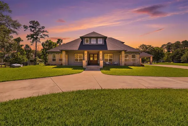 16075 Singletree Drive, Stagecoach, TX 77355