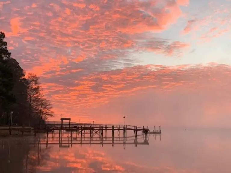 10040 Hwy 87 S, Hemphill, TX 75948 - Image #2