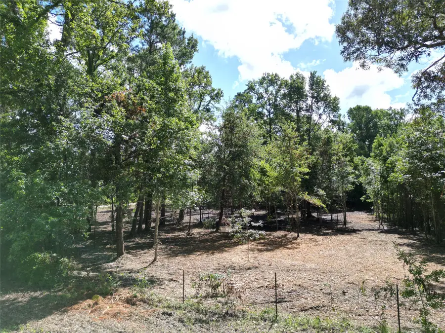 000 Red Oak Drive, Plantersville, TX 77363 - #3