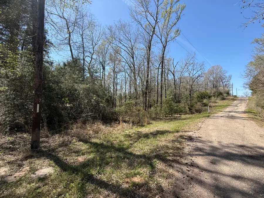 1922 County Road 261, Oakwood, TX 75855 - #2