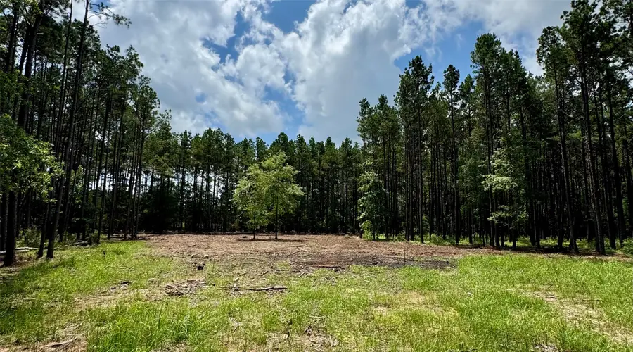 TBD 10 Cr 2626, Wells, TX 75976 - Image #3