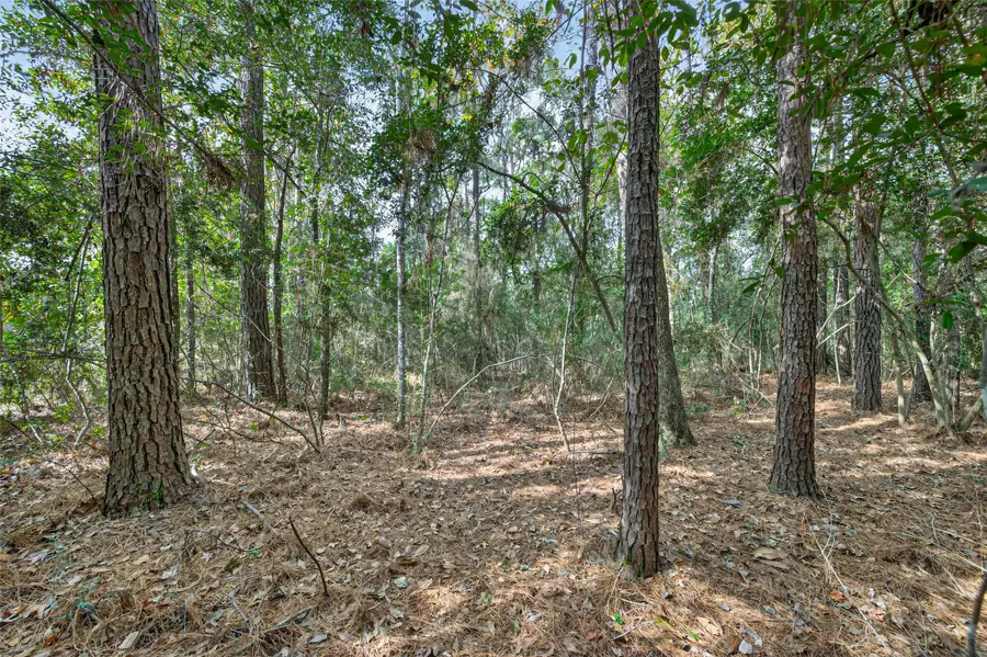 Lot 453 North Woods, Cleveland, TX 77328 - Image #2