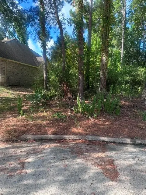 13609 Sun Valley Court, Montgomery, TX 77356 - #2