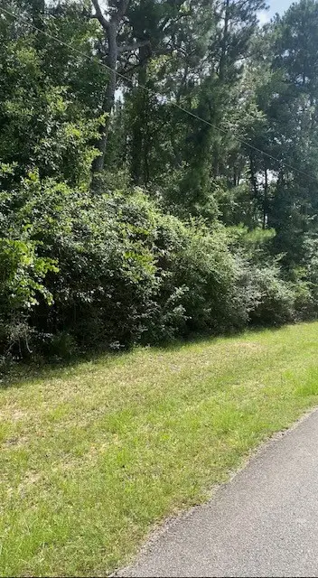 19410 Veterans Road, Magnolia, TX 77355 - #2
