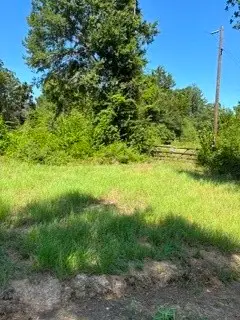 TBD County Road 488, Normangee, TX 77871